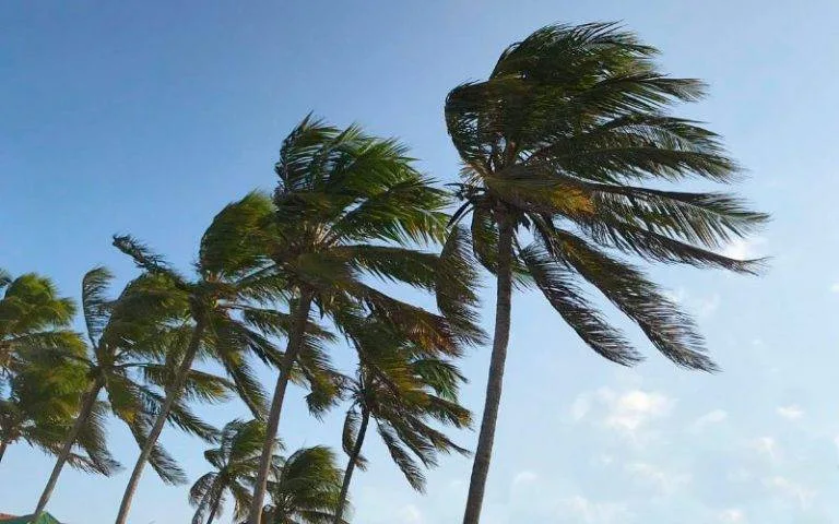 Alerta de vendaval é renovado para todas as cidades da Paraíba