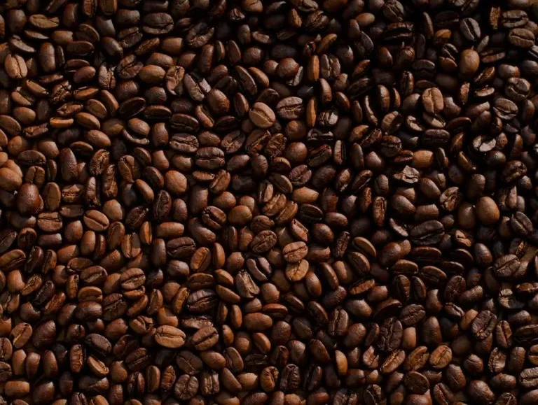 Café é associado a menor risco de infarto, AVC e insuficiência cardíaca, aponta pesquisa