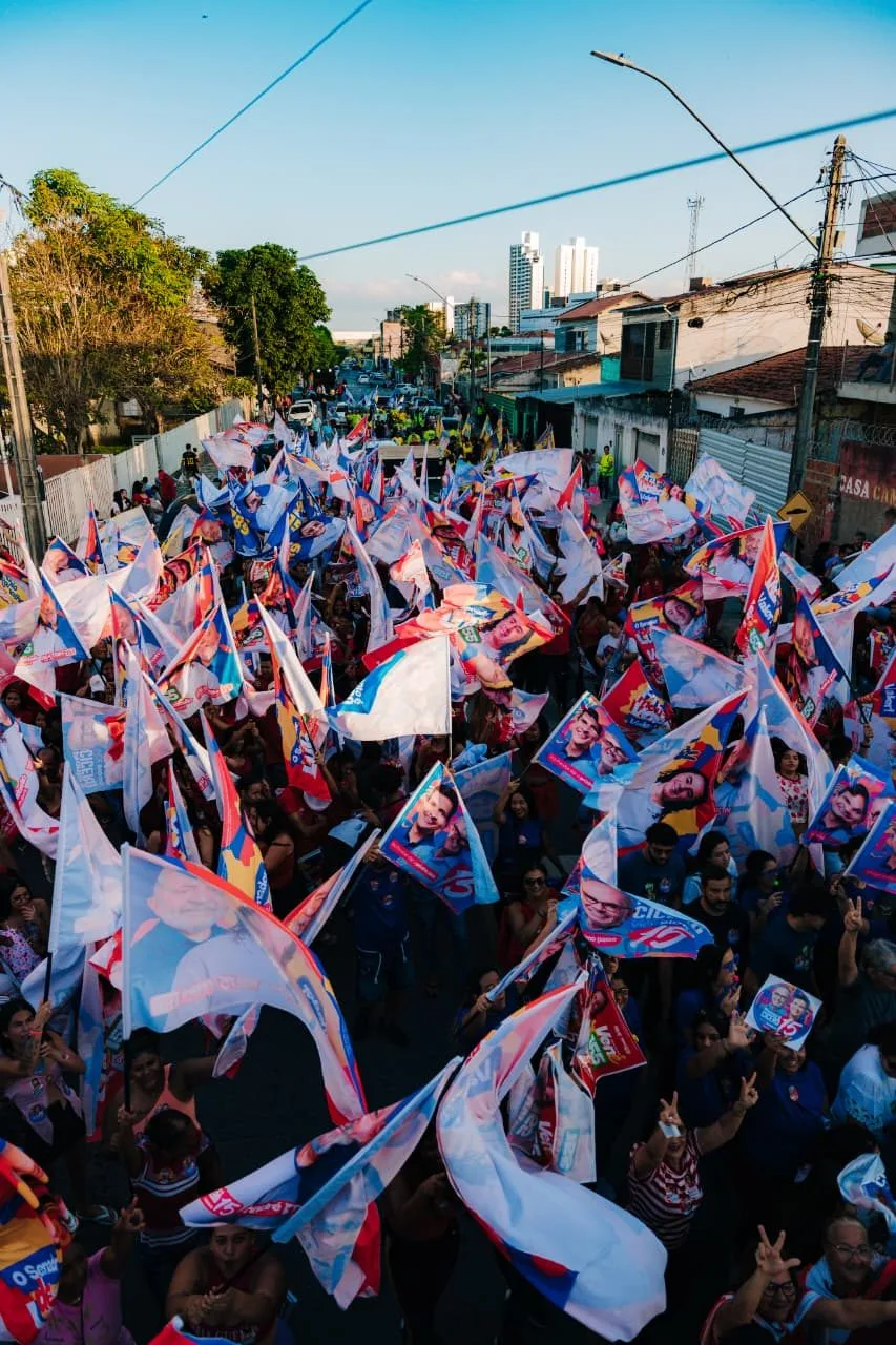Imagem 9