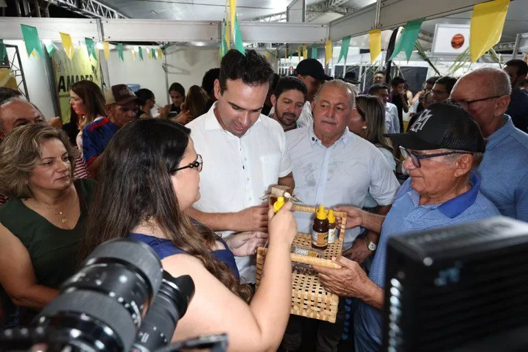 Imagem 4