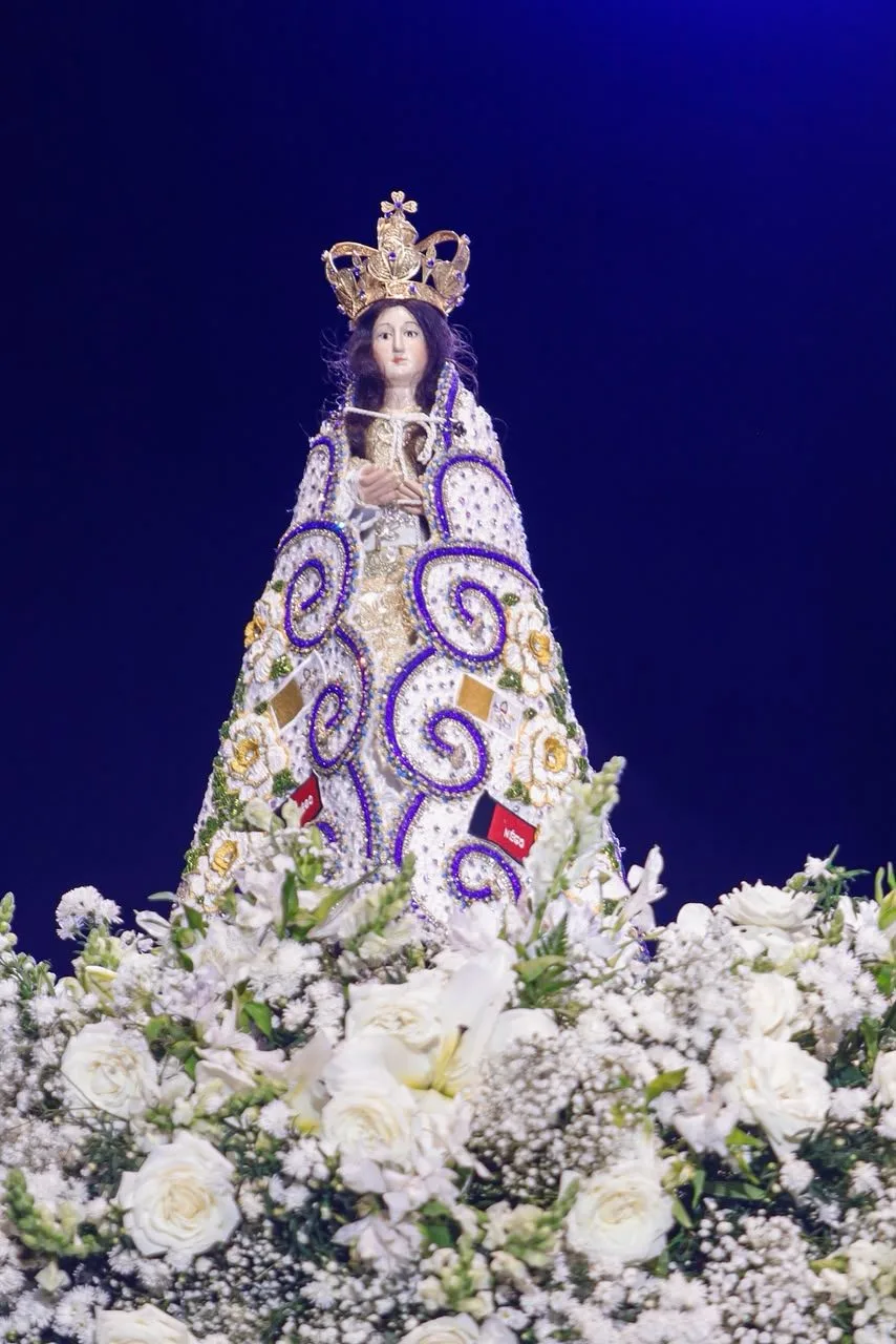 Imagem 8