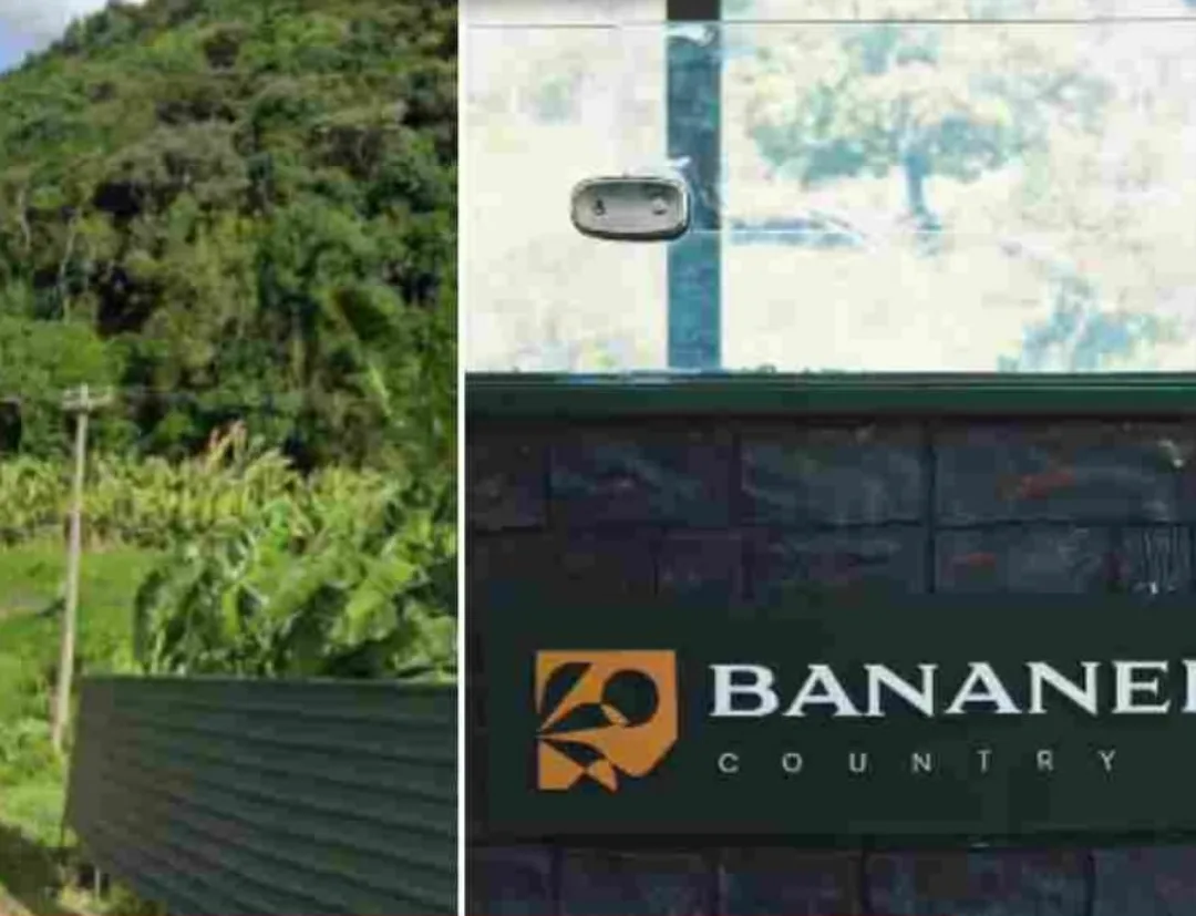 Ministério Público recomenda paralisação imediata e adota medidas cautelares para prevenir danos à Mata Atlântica em empreendimento de Bananeiras