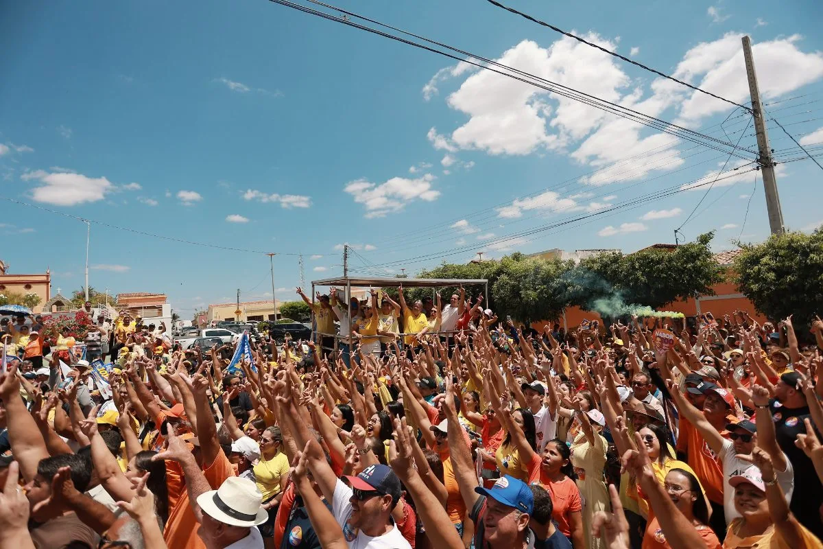 Imagem 7