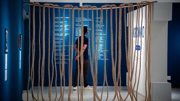 Entre cardumes, memórias e tecnologia: MAC estreia exposição imersiva inspirada no litoral nordestino