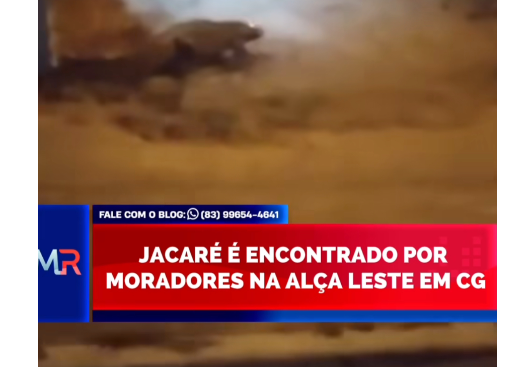 VÍDEO: deu no Blog do Márcio Rangel; Estava só passeando