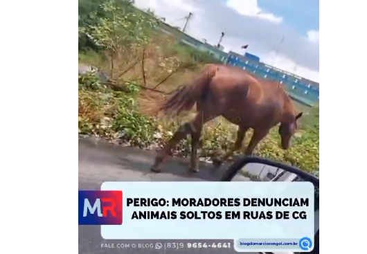 Campina Grande.