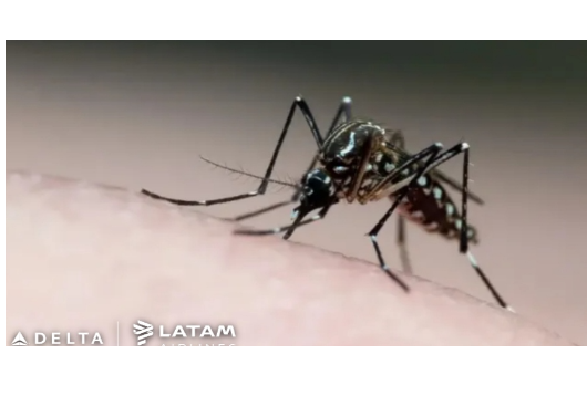 PARAÍBA JÁ: 'Paraíba ultrapassa marca de 5 mil casos prováveis de dengue'