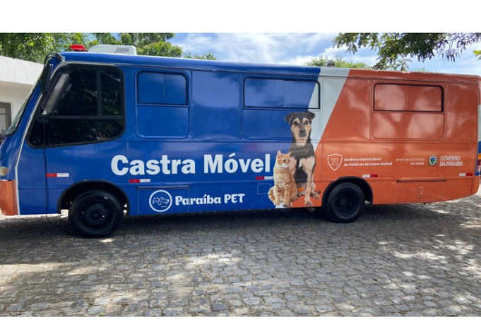 Saúde cadastra ONGs e protetores independentes para acesso gratuito à castração de cães e gatos na Paraíba - ATUALIDADES
