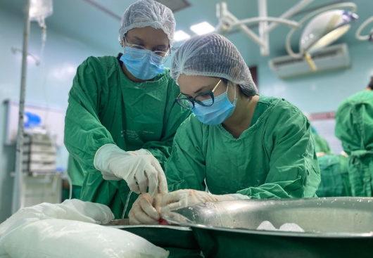 Paraíba registra recorde em tripla doação de multiórgãos e tecidos e 12 pessoas saem da lista de espera para transplantes