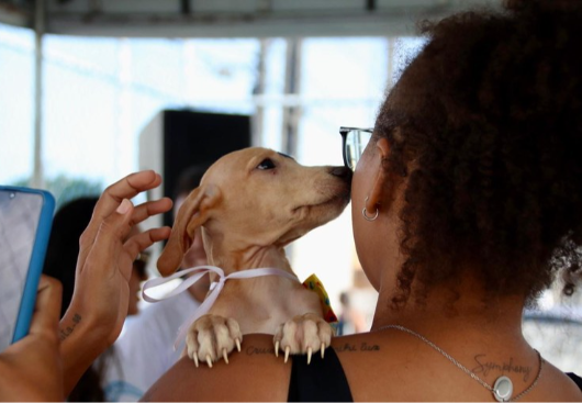 Paraíba realiza III Feira de Educação, Cuidados e Adoção Animal, em João Pessoa