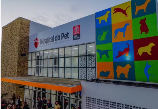 Saiba quais são os serviços de saúde pet oferecidos no Hospital Veterinário de JP — Paraíba Já