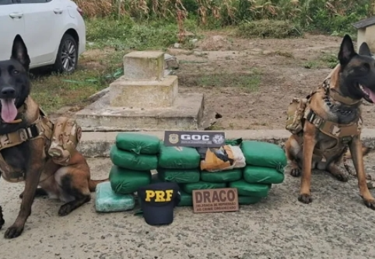 Polícia Federal
