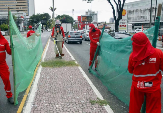Reprodução