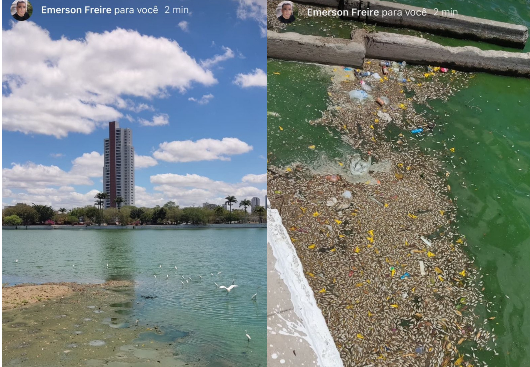 Reprodução