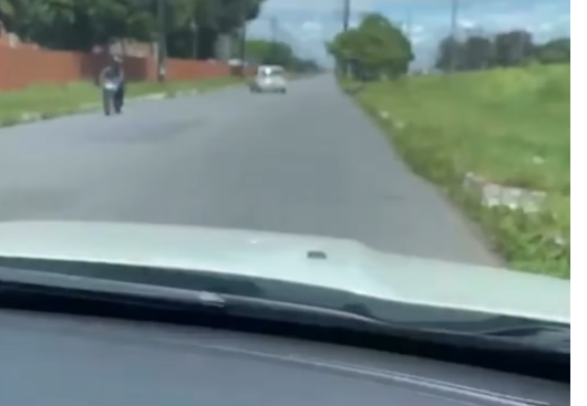 Reprodução
