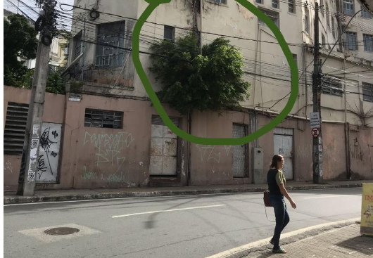Paraíba