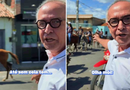 Reprodução
