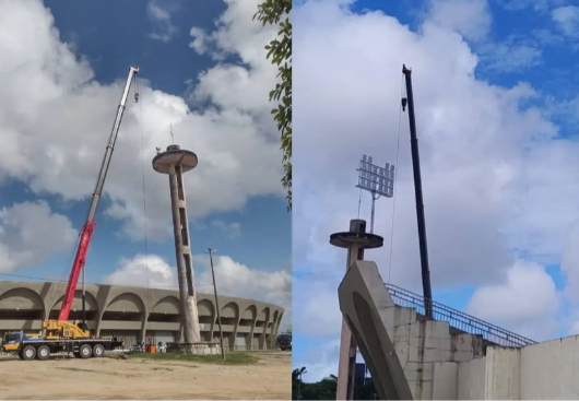 Reprodução