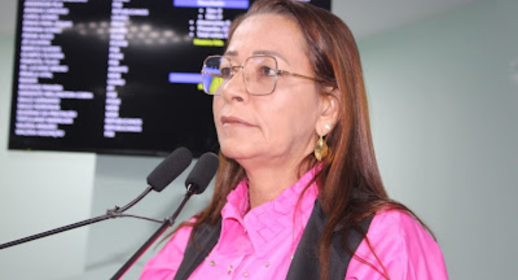 Lei de Aninha Cardoso que reforça transparência no atendimento a gestantes é sancionada