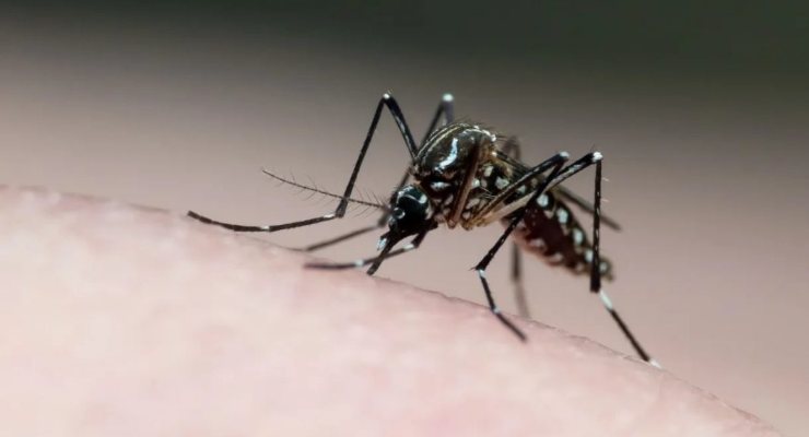 PB registra redução de casos de dengue, chikungunya, zika e febre oropouche em 2025