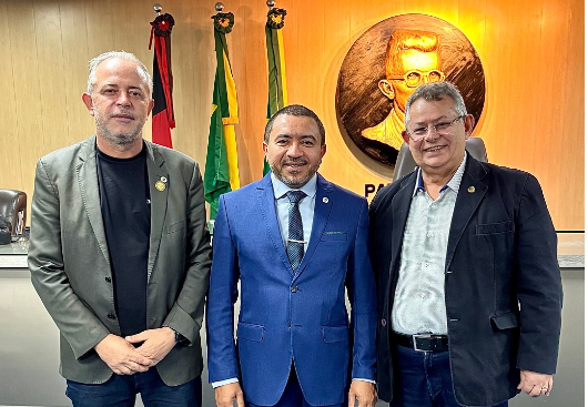 Vereadores se unem para cobrar Energisa serviços para a população de Campina Grande
