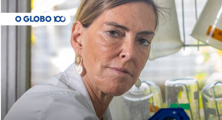 'Não existe medicamento igual no mundo, conta pesquisadora sobre droga que devolveu movimentos após lesão da medula