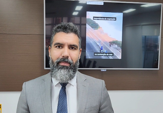 MPF esclarece retirada de árvores na orla de Camboinha após decisão contrária da Justiça