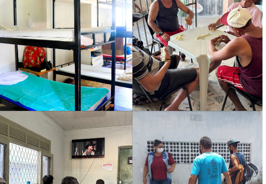 reprodução