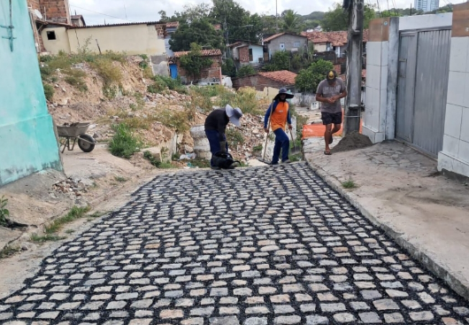 Reprodução