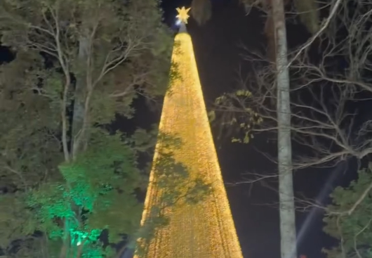 CANSADO: INFLUENCIADORA VAI À INAUGURAÇÃO DO NATAL ILUMINADO DE CAMPINA GRANDE E DIZ QUE EVENTO ESTÁ “ABAIXO DAS EXPECTATIVAS” — GASTO FOI DE QUASE R$ 3 MILHÕES