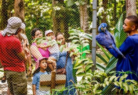 Após morte na Bica, Prefeitura publica portaria aumentando segurança e regulamentando acesso a recintos dos animais
