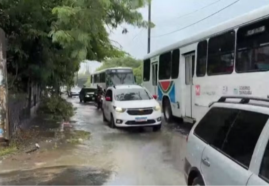 Chuvas provocam quedas de árvores e alagamentos em João Pessoa