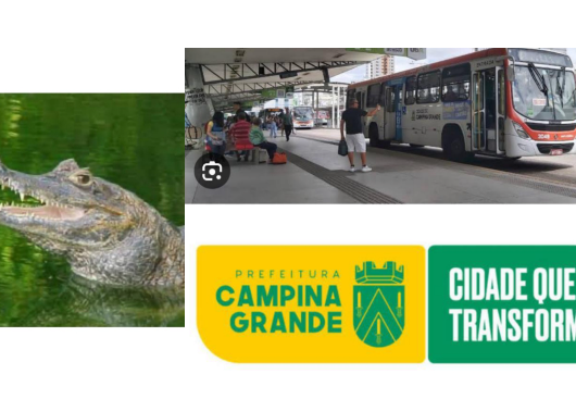 Ônibus em Campina Grande.