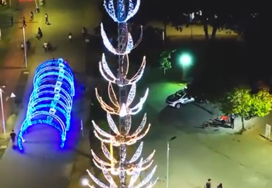 VÍDEO: senadora Daniella Ribeiro comemora a iluminação de Natal de João Pessoa, do prefeito Cícero Lucena