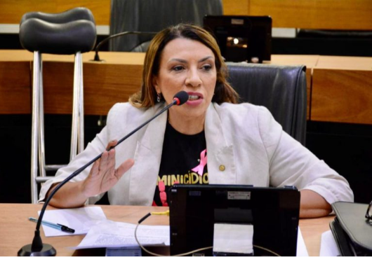 Cida afasta tese de Ricardo por candidatura do PT