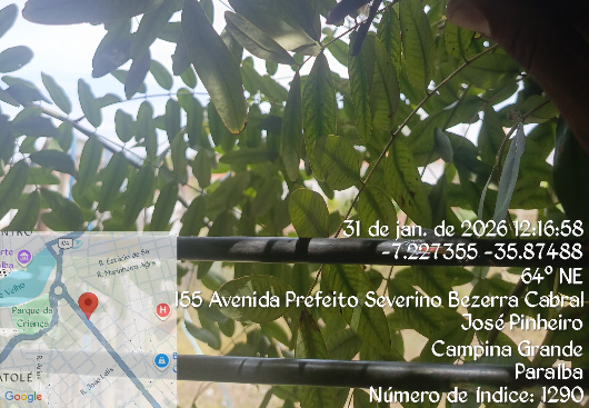 FURTOS E CORTES DE CABOS DE INTERNET SE TORNAM ROTINA EM CAMPINA GRANDE E GERAM PREJUÍZOS A SERVIÇOS ESSENCIAIS