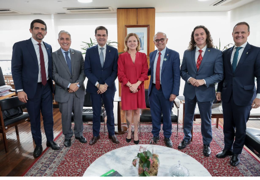 Cícero, Mersinho e Veneziano posam com Gleisi em Brasília